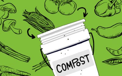Our 5 Best Tips for Sustainable Composting