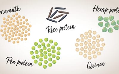 Peut-on obtenir des protéines complètes à partir des végétaux ?