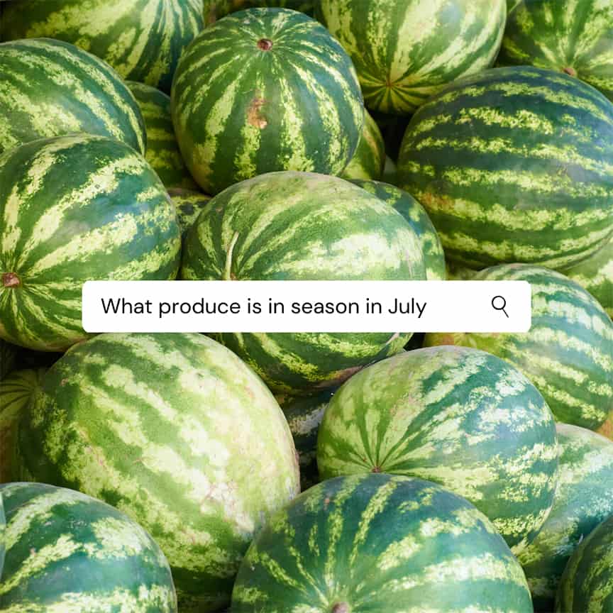 a pile of watermelons with a search bar over the image that reads "What produce is in season in July"