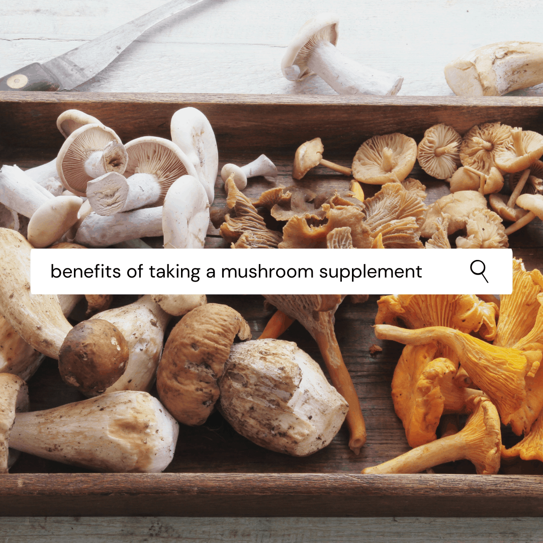 wooden tray with a variety of edible mushrooms. there is a search bar over the image that reads" Benefits of taking a Mushroom Supplement"