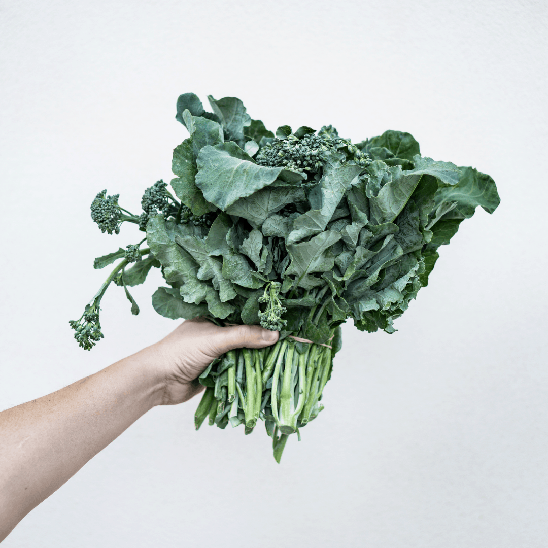 A hand holding a bouquet of broccolini