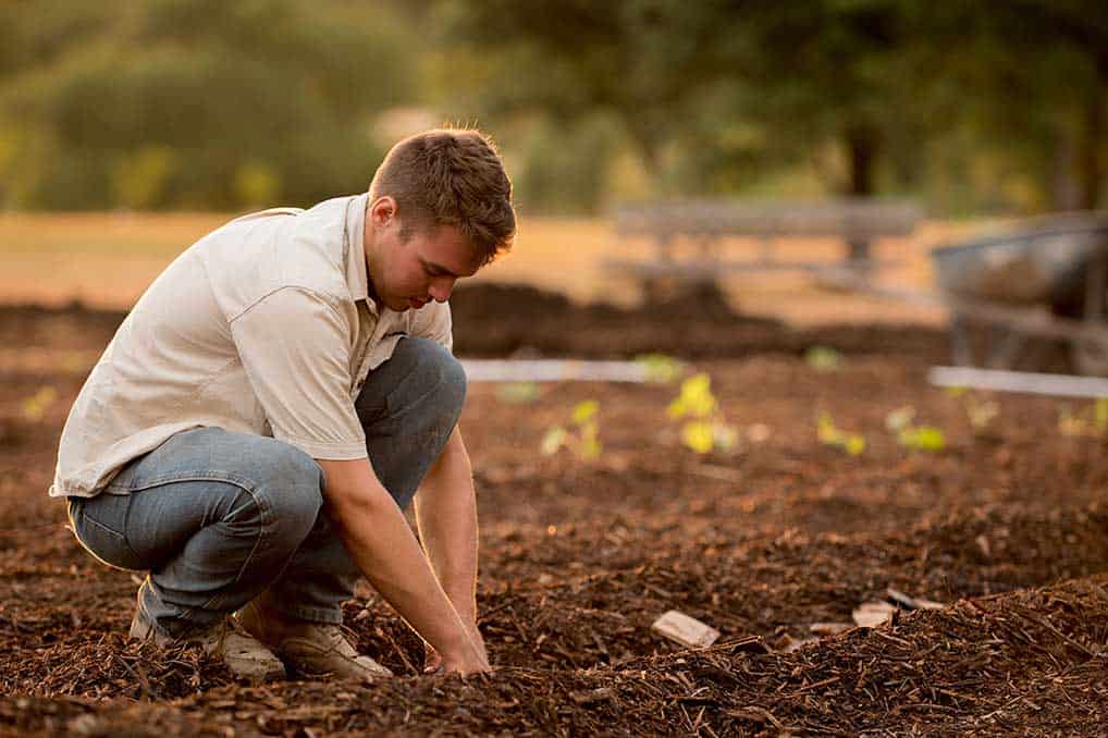 Winterizing-a-Garden-for-Spring