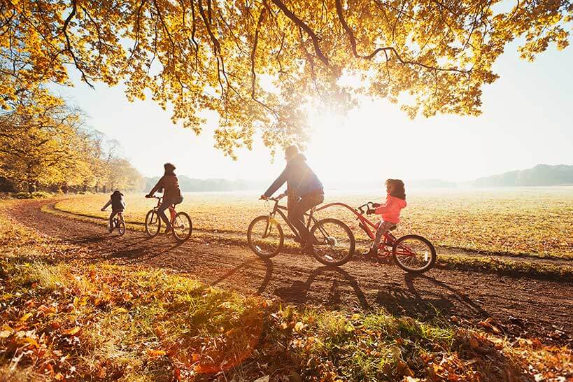 Shedding-Light-on-Vit-D-1