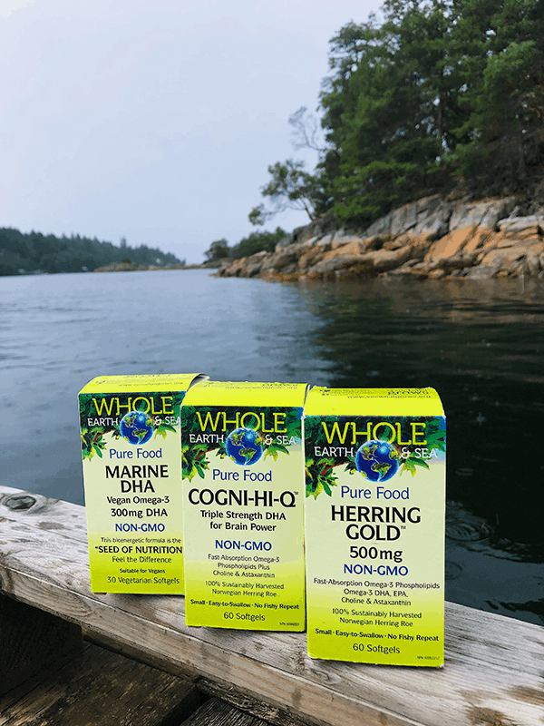 WES-Sustainable-packaging-products