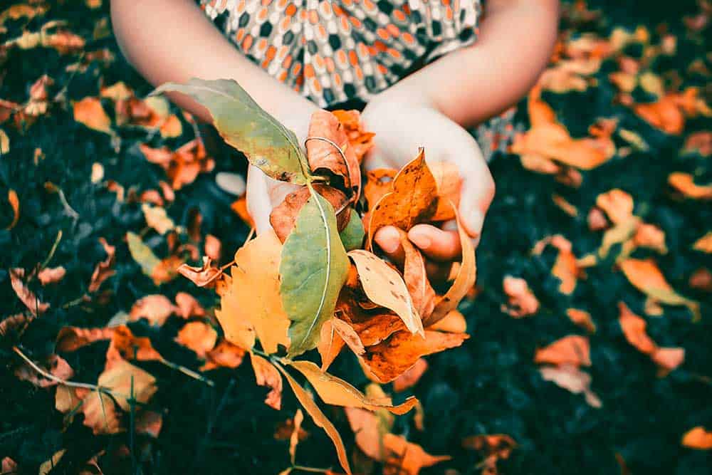 how-to-prepare-garden-for-winter-tiny